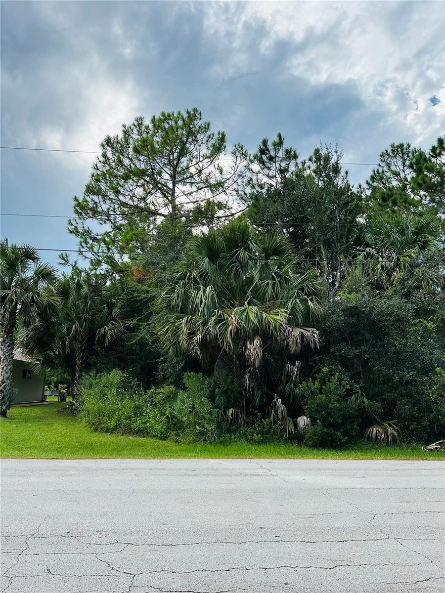 3 SEATTLE TRL, PALM COAST, FL — photo 14