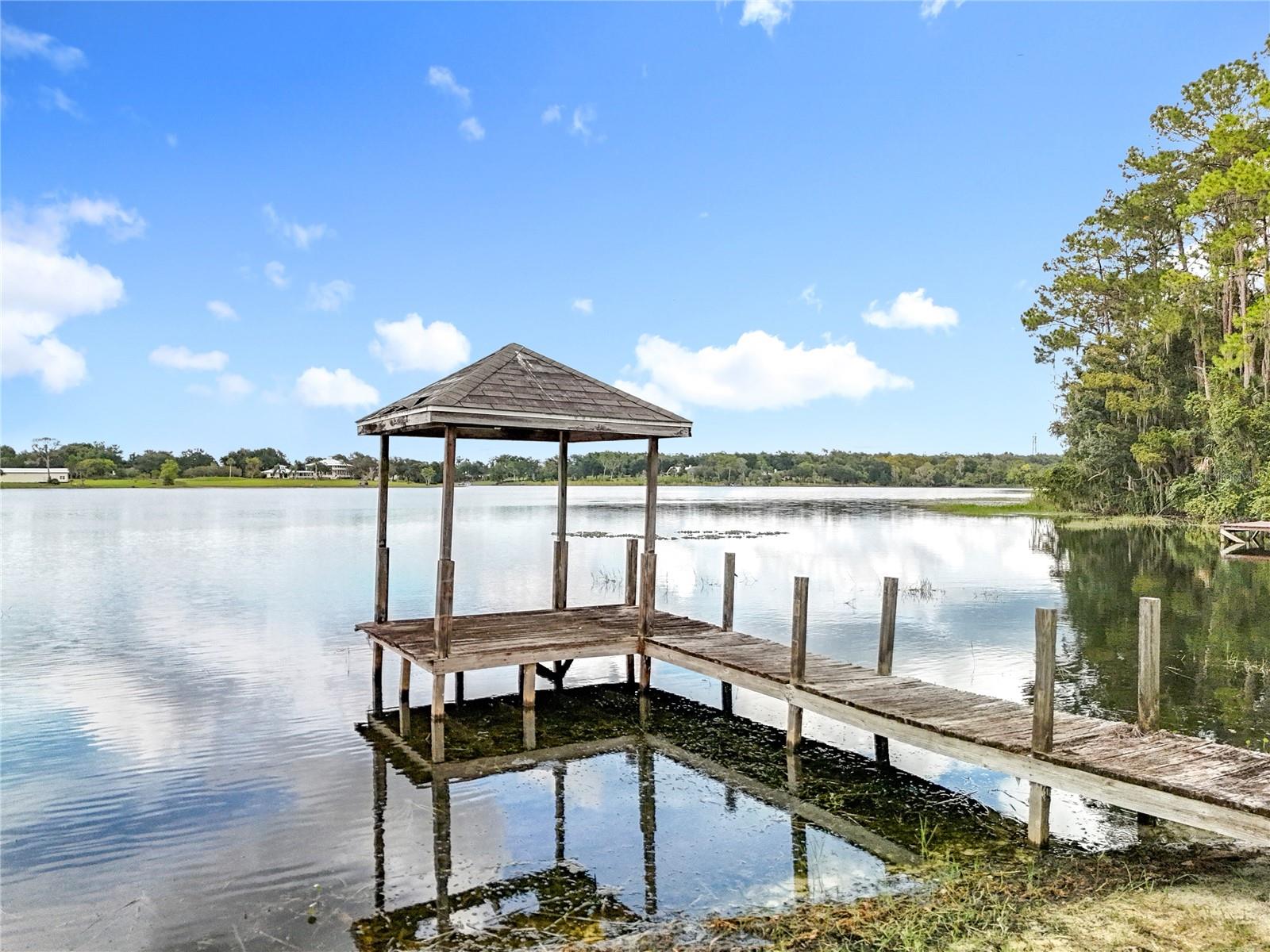 16635 COUNTY ROAD 450, UMATILLA, FL — photo 147