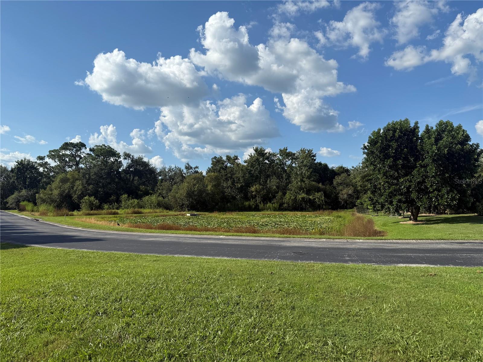 ISLAND SHORES LN, LAKELAND, FL — photo 8