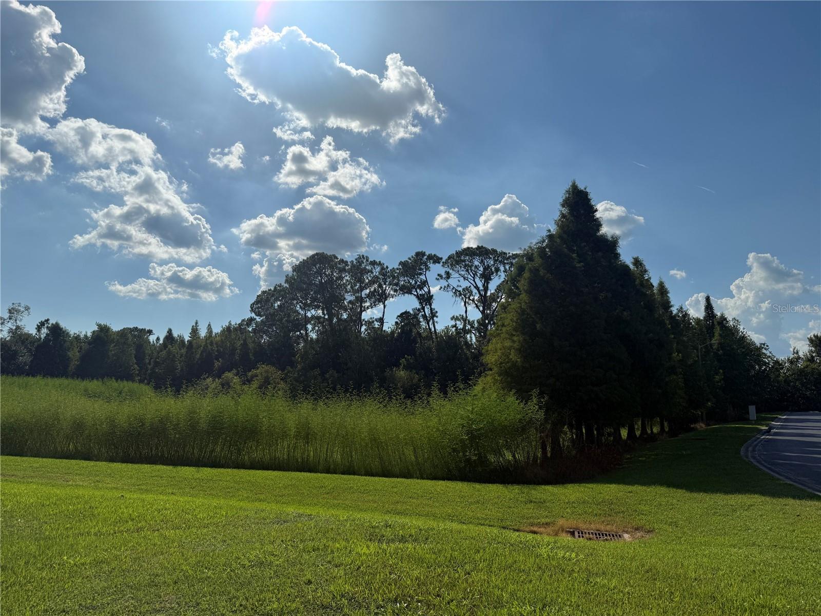ISLAND SHORES LN, LAKELAND, FL — photo 11