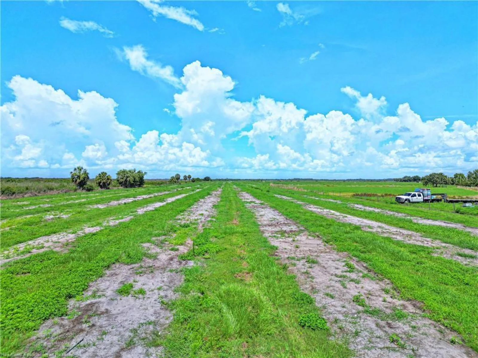 8495 COUNTY ROAD 621, LORIDA, FL — photo 46