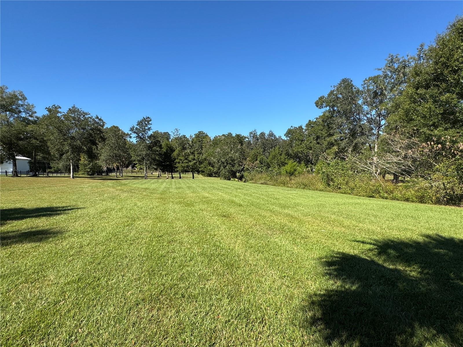 TBD NE 185 AVE, WILLISTON, FL — photo 10