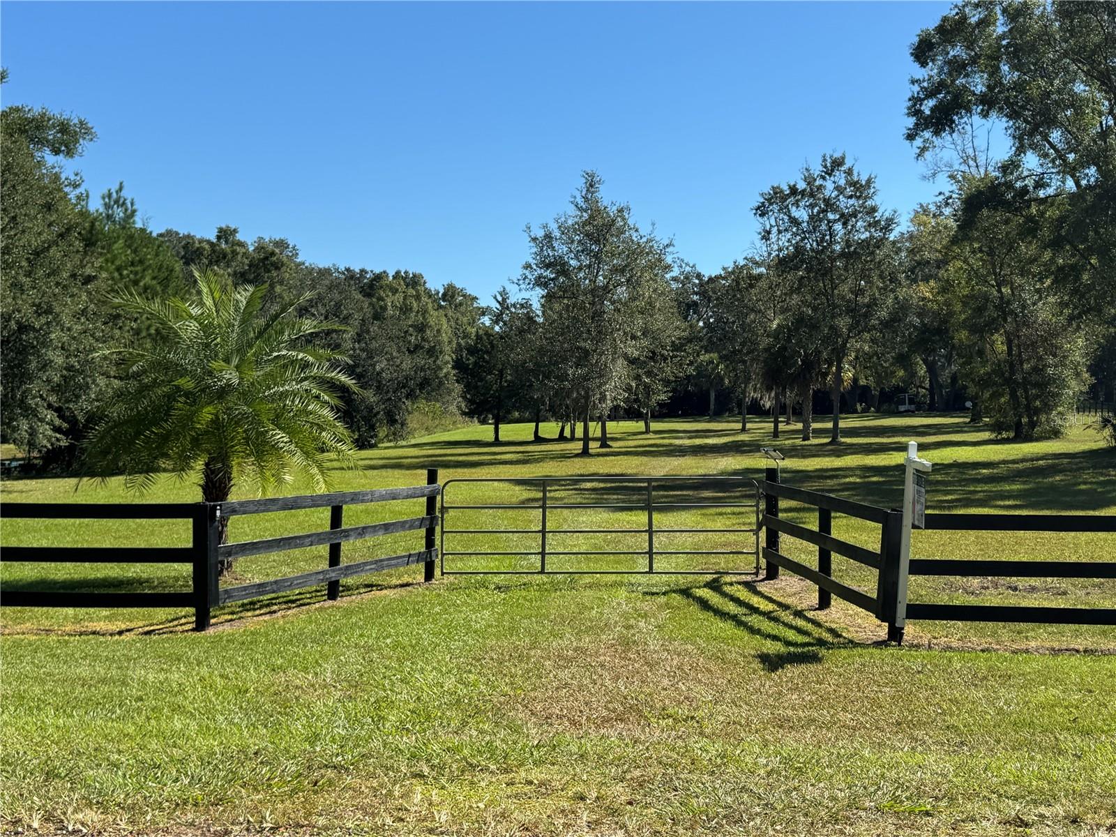 TBD NE 185 AVE, WILLISTON, FL — photo 27