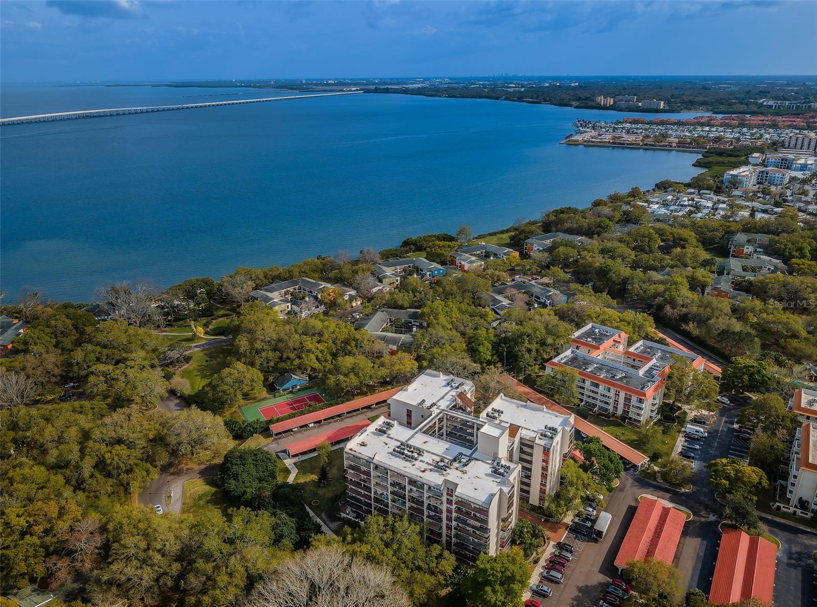 2699 SEVILLE BLVD #105, CLEARWATER, FL — photo 3