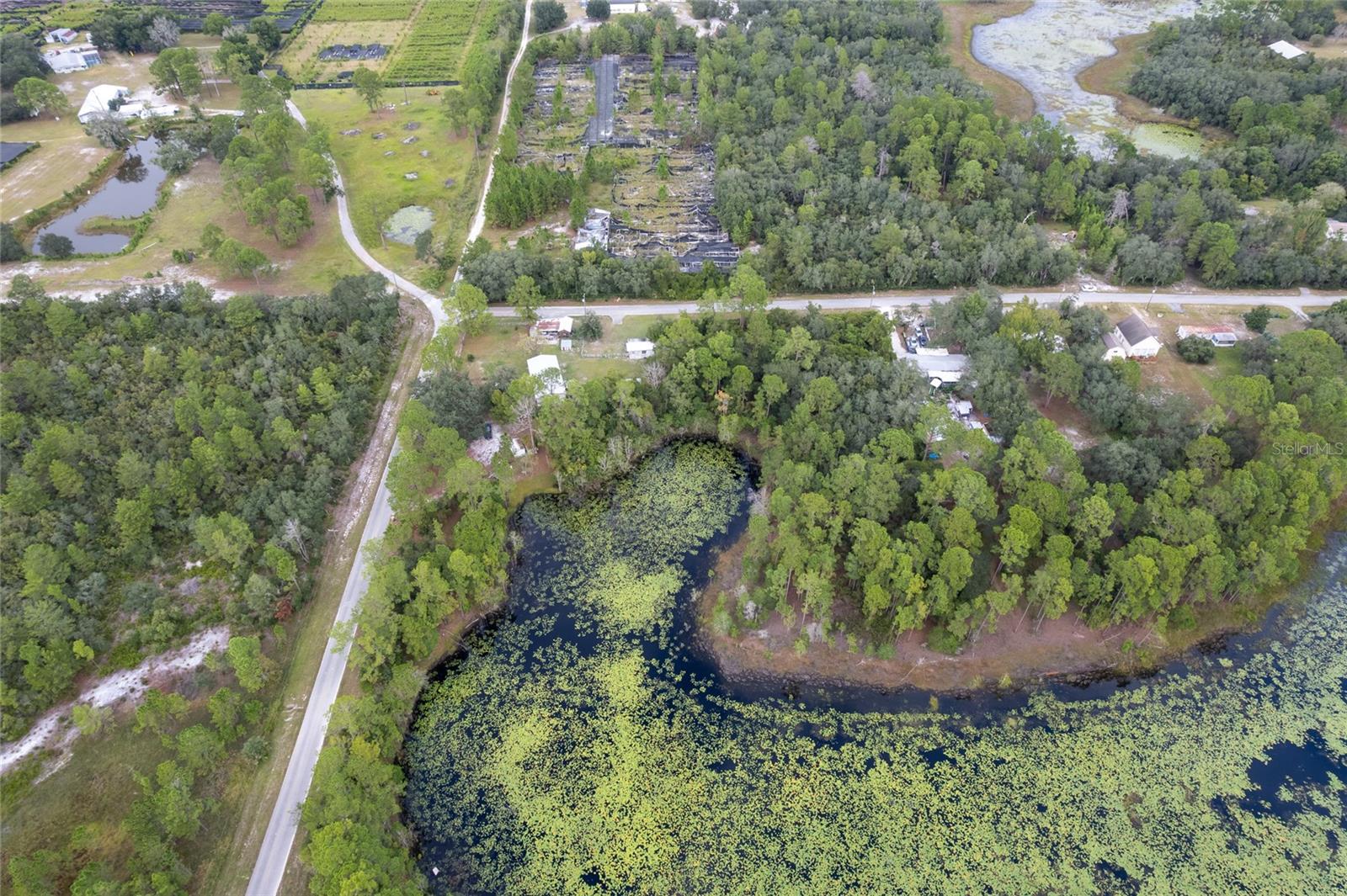 PINECREST RD, EUSTIS, FL — photo 11