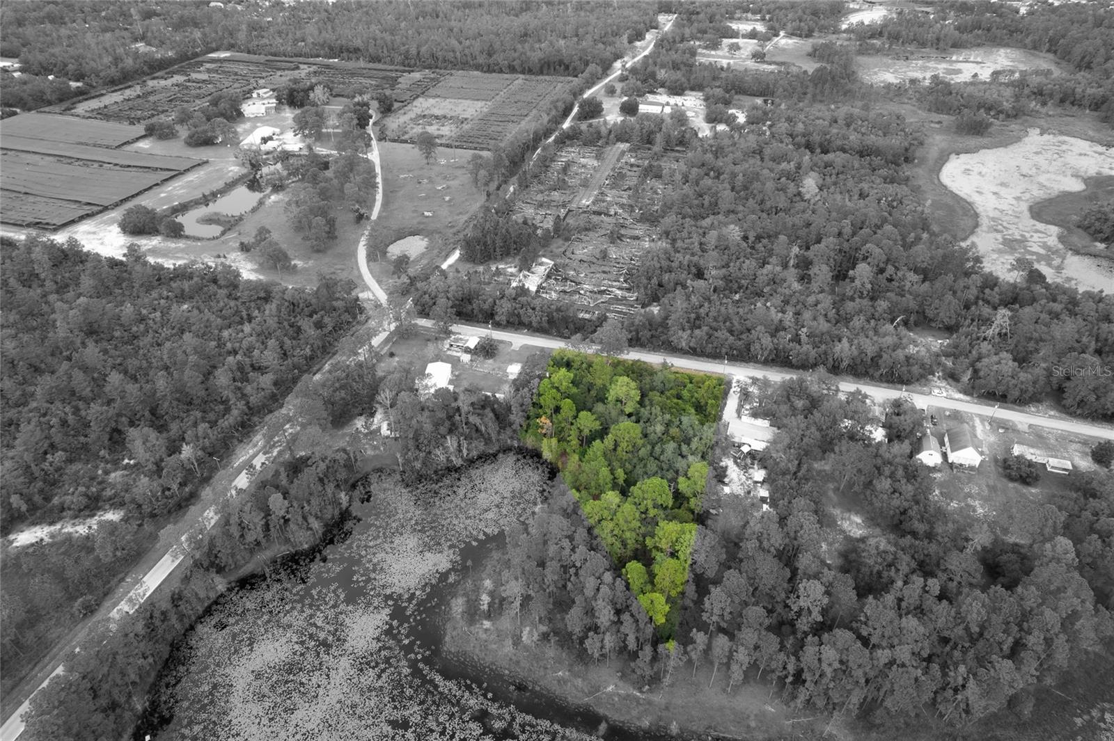 PINECREST RD, EUSTIS, FL — photo 3