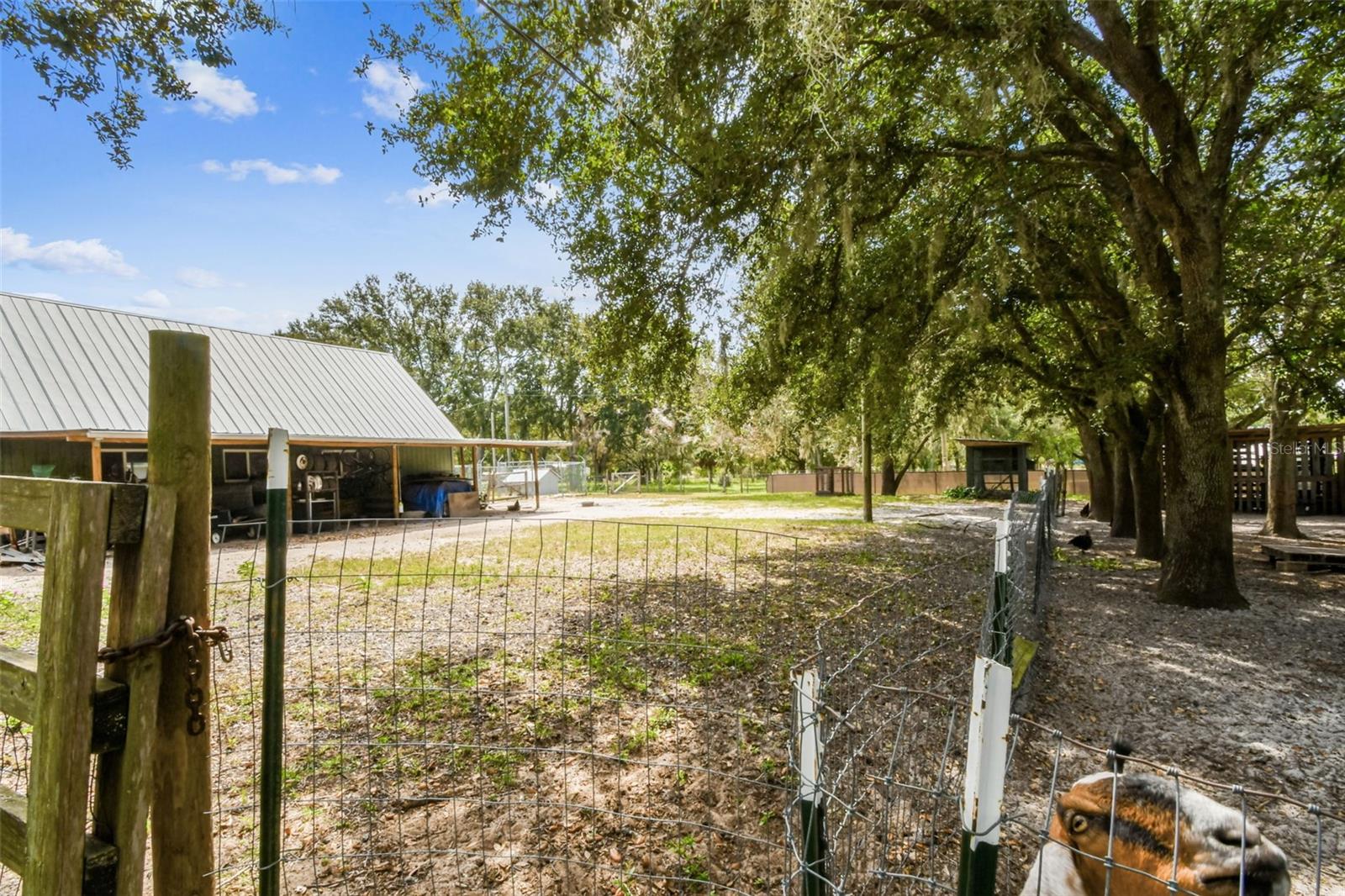 15019 CARLTON LAKE RD, WIMAUMA, FL — photo 104