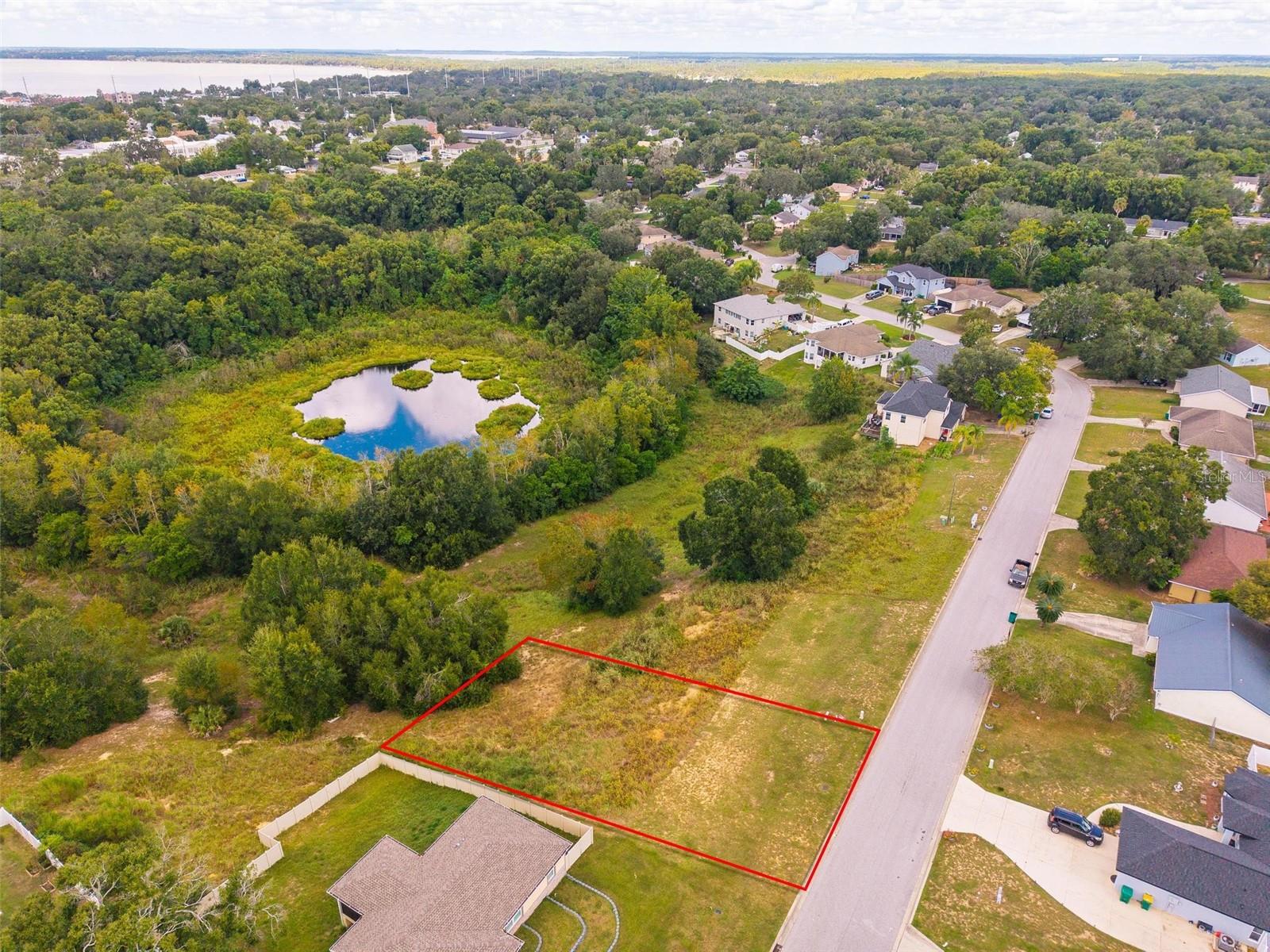 MORNINGVIEW DR, EUSTIS, FL — photo 21