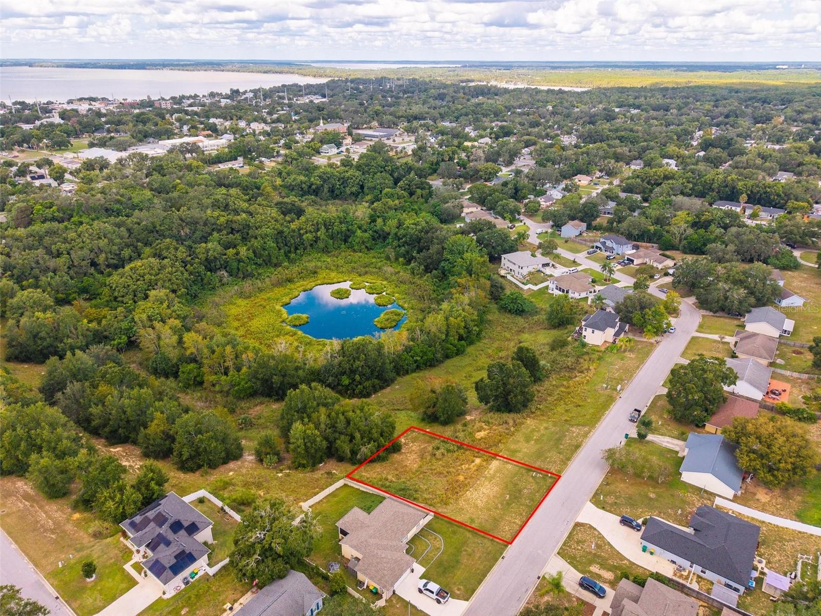 MORNINGVIEW DR, EUSTIS, FL — photo 37