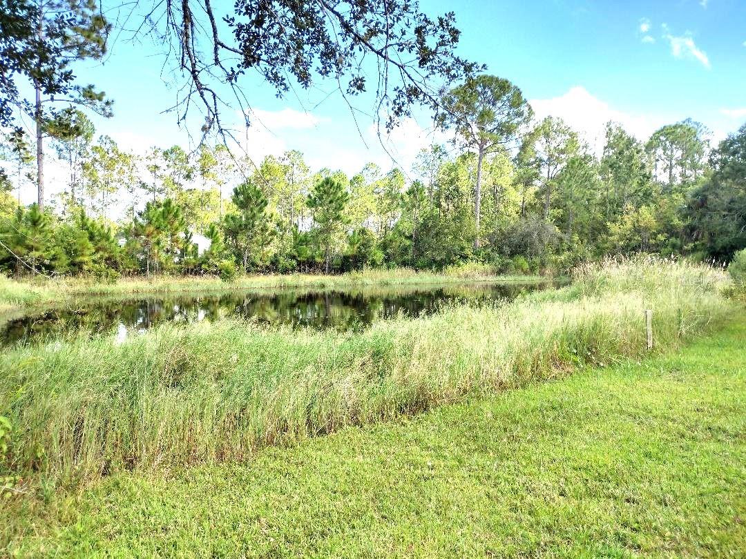 5952 ELM AVE, BUNNELL, FL — photo 27