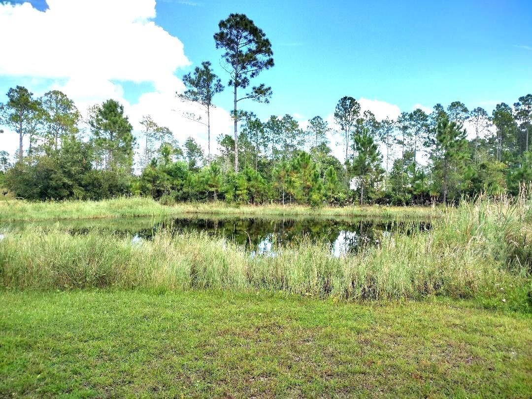 5952 ELM AVE, BUNNELL, FL — photo 28