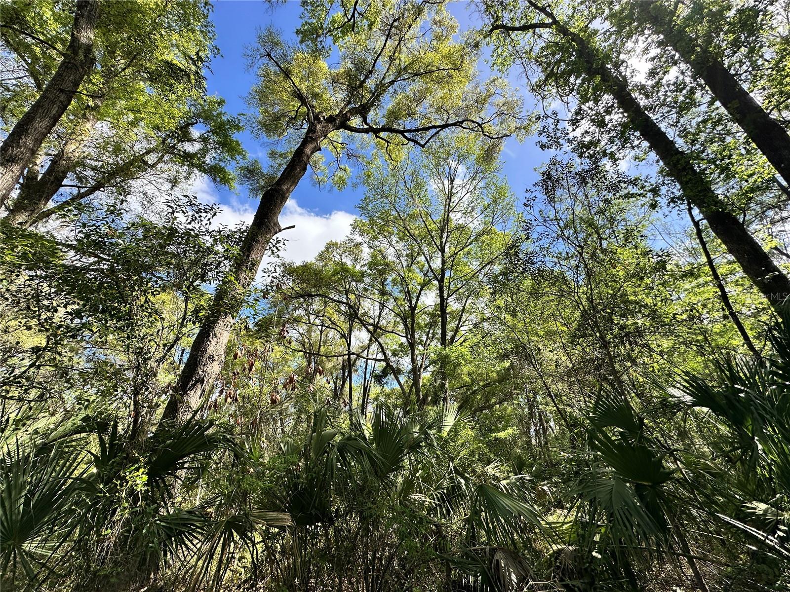 TBD SW 5TH LN, OCALA, FL — photo 9