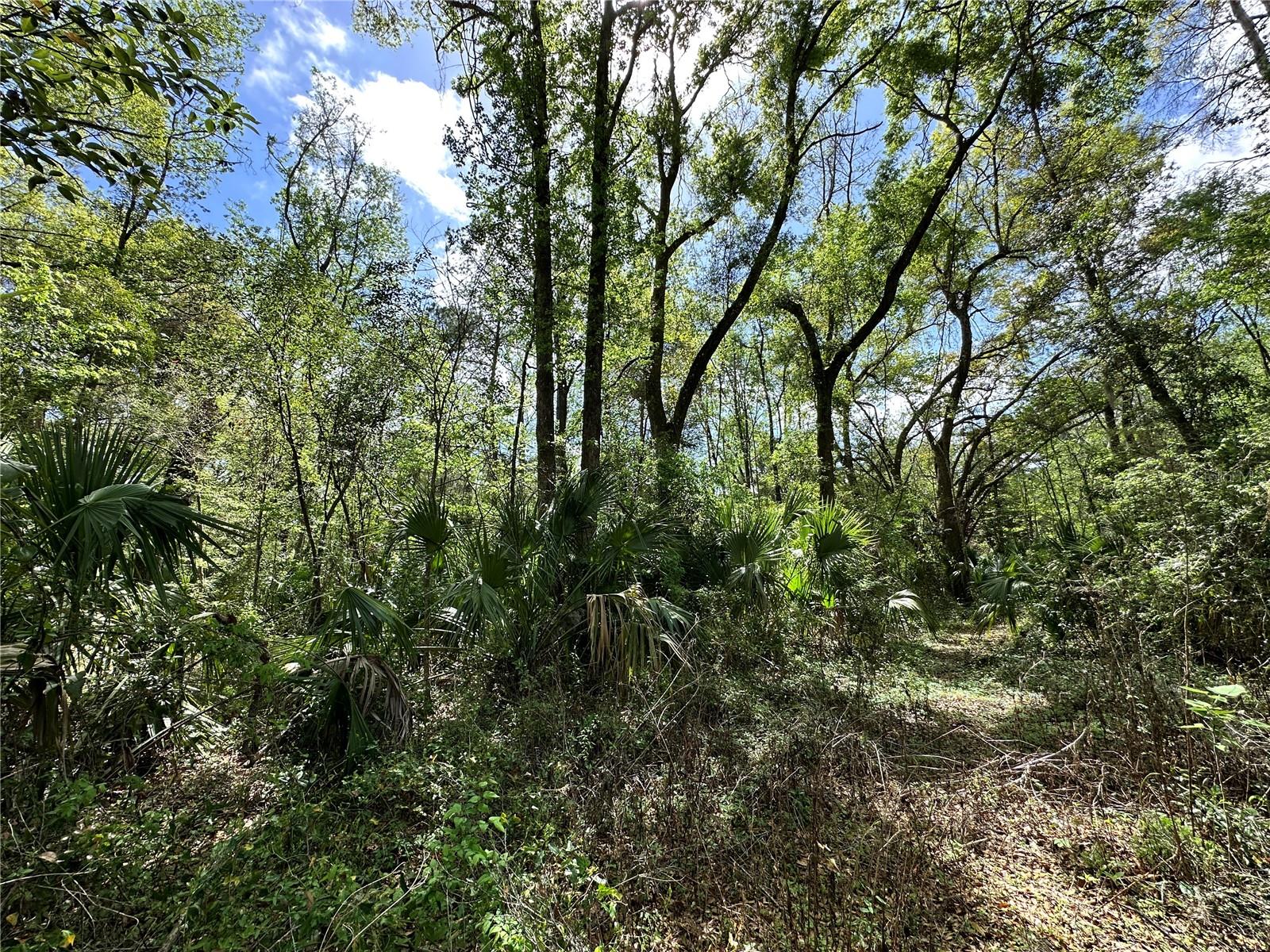 TBD SW 5TH LN, OCALA, FL — photo 10