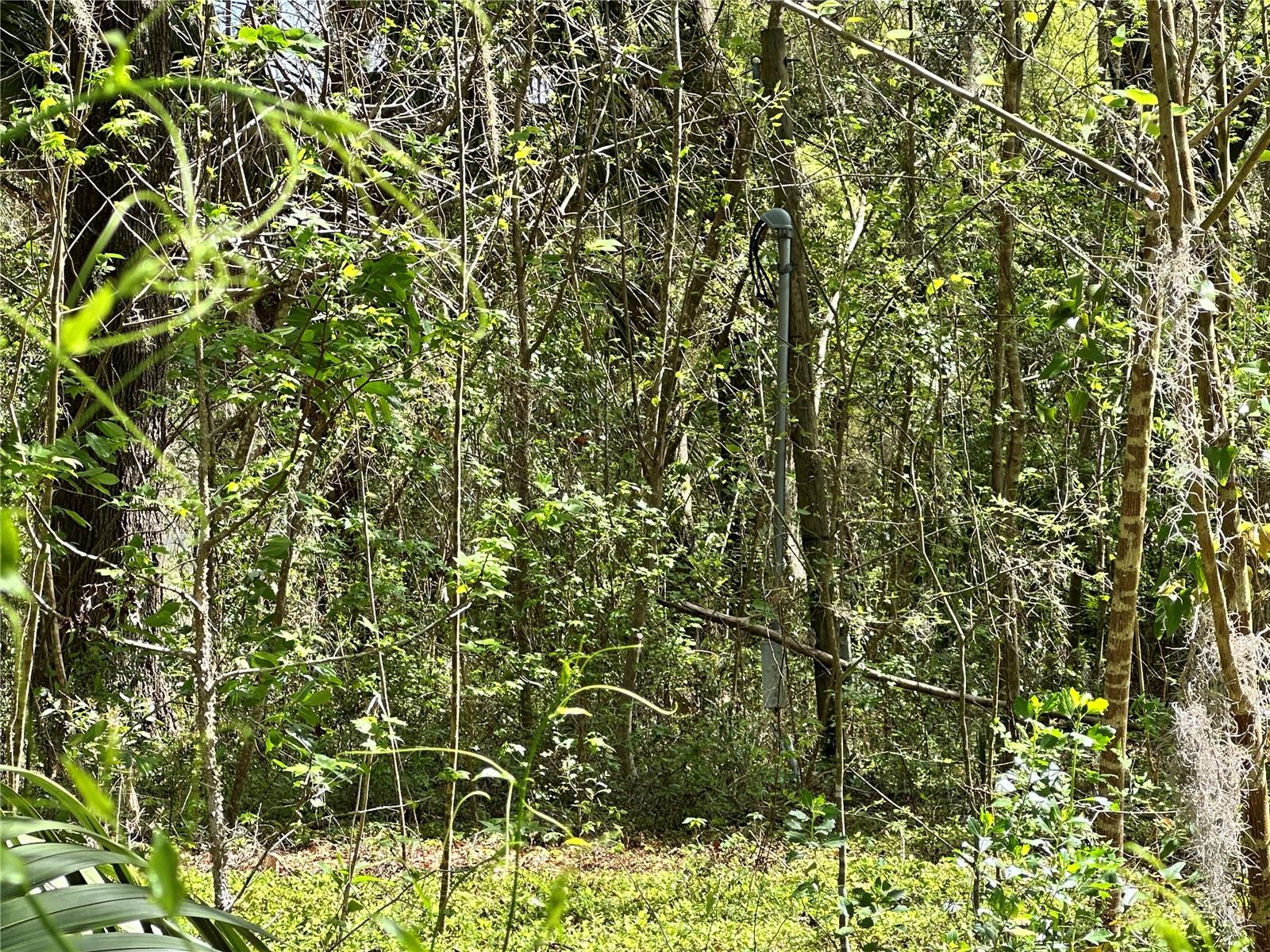 TBD SW 5TH LN, OCALA, FL — photo 11