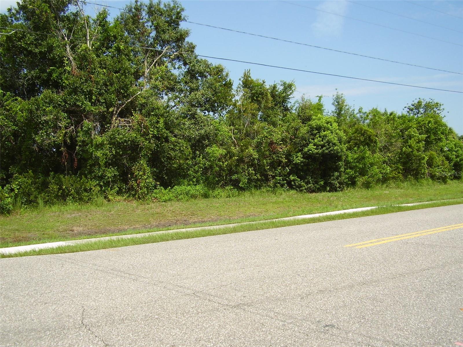 801 CARROUSEL LN, KISSIMMEE, FL
