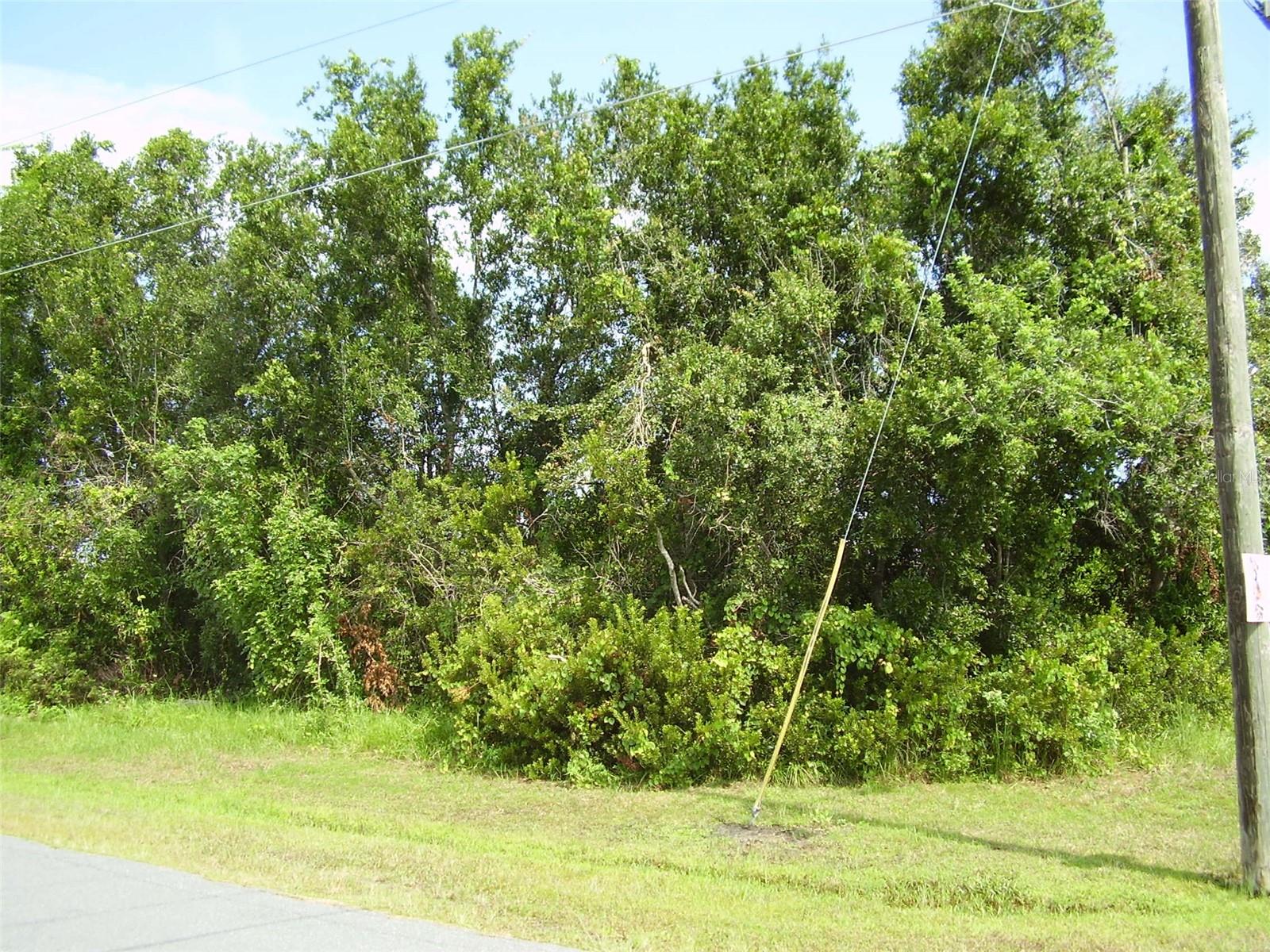 801 CARROUSEL LN, KISSIMMEE, FL — photo 2