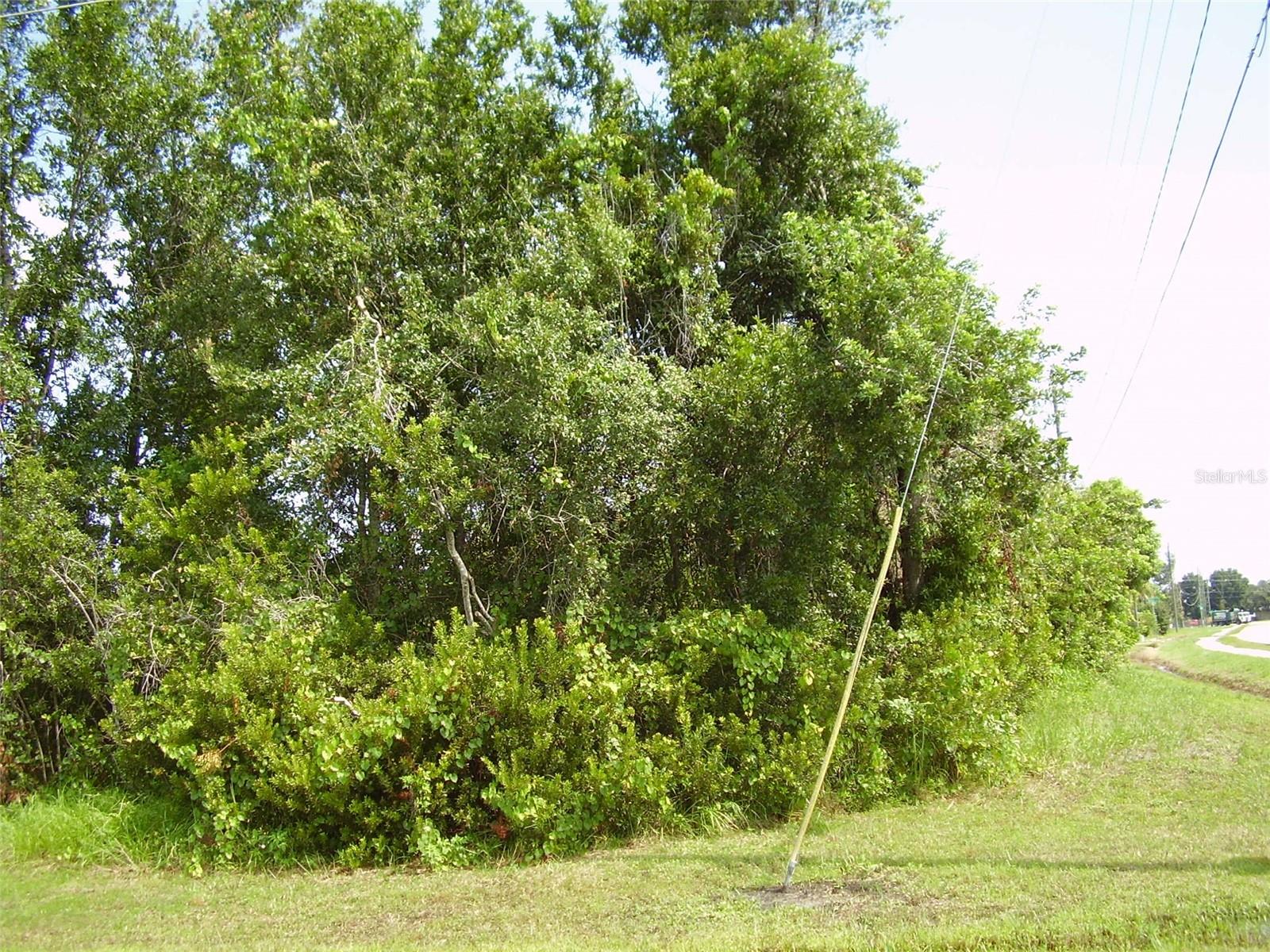 801 CARROUSEL LN, KISSIMMEE, FL — photo 4