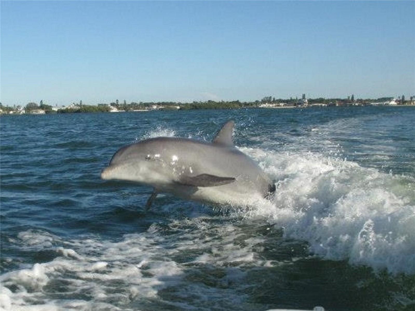 1155 BOUNDARY BLVD, ROTONDA WEST, FL — photo 100