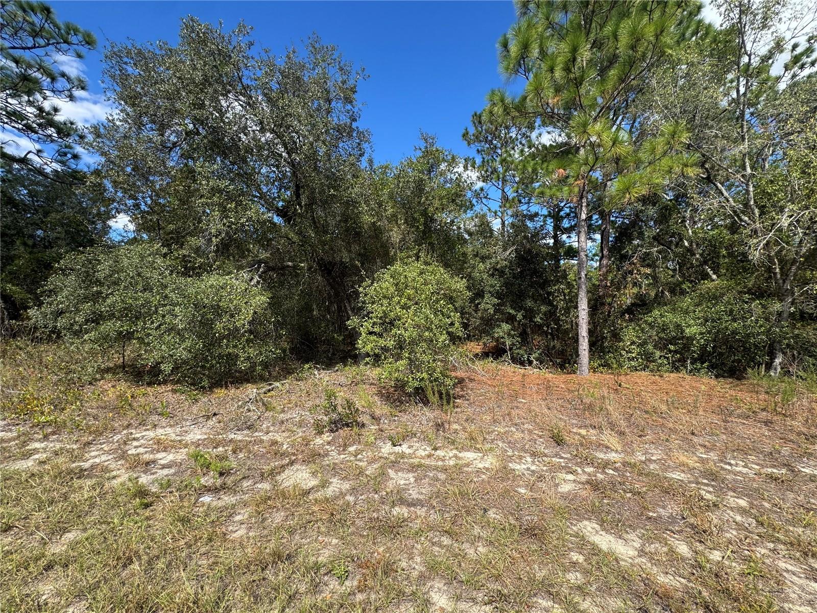 3341 W WILHELM ST, CITRUS SPRINGS, FL — photo 4
