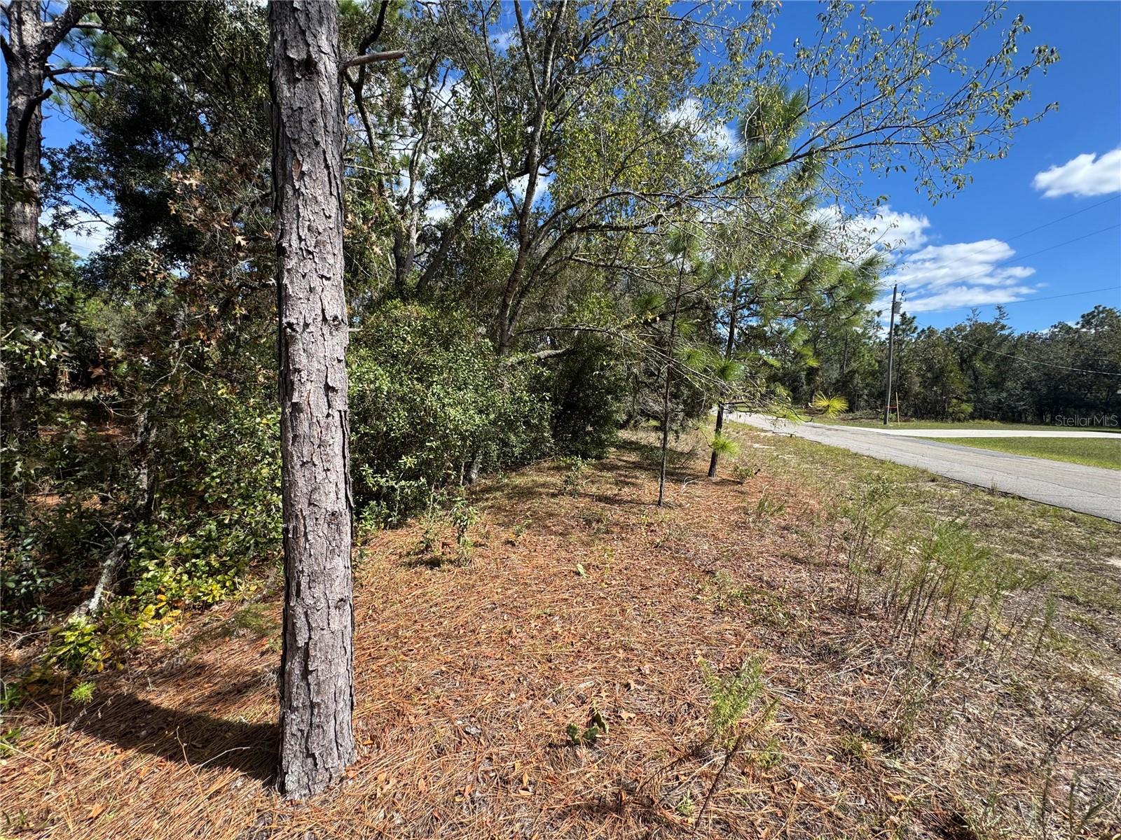 3341 W WILHELM ST, CITRUS SPRINGS, FL — photo 10