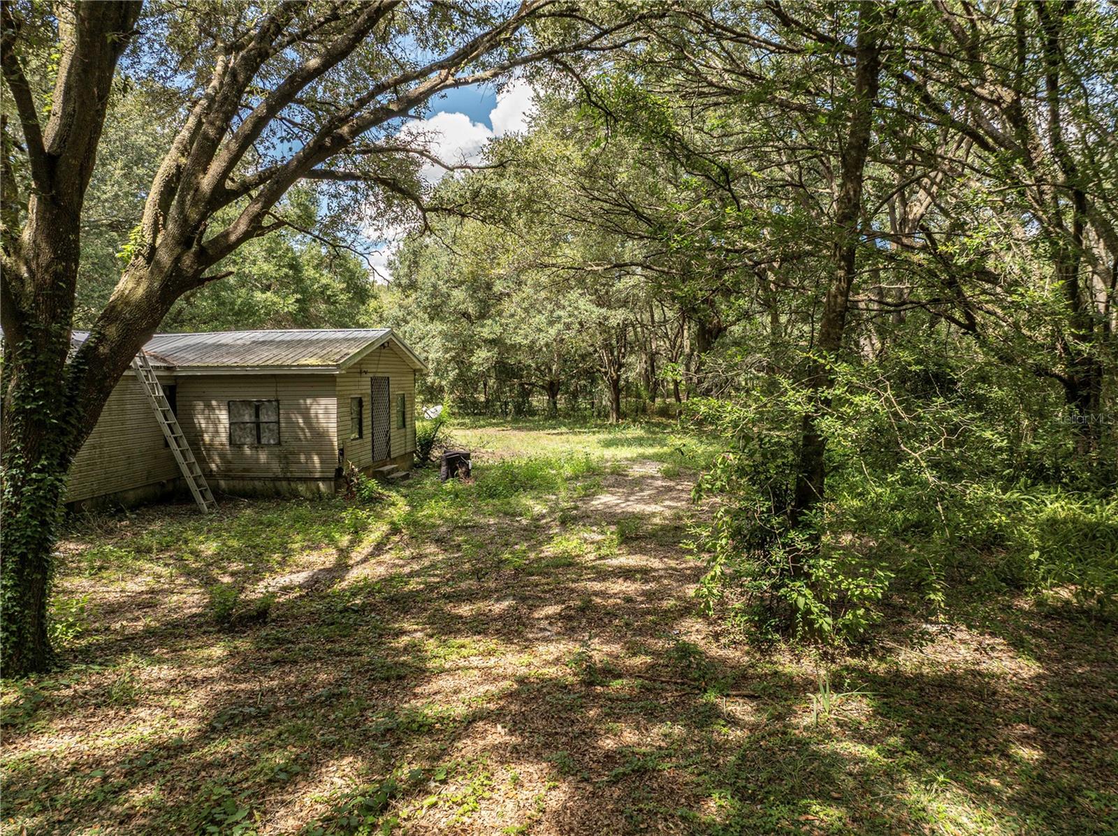 2946 SE 21ST AVE, SUMTERVILLE, FL — photo 5
