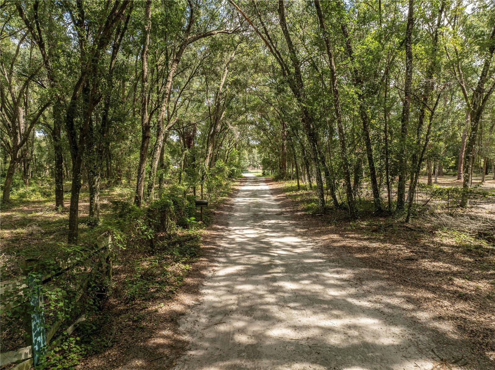 2946 SE 21ST AVE, SUMTERVILLE, FL — photo 11