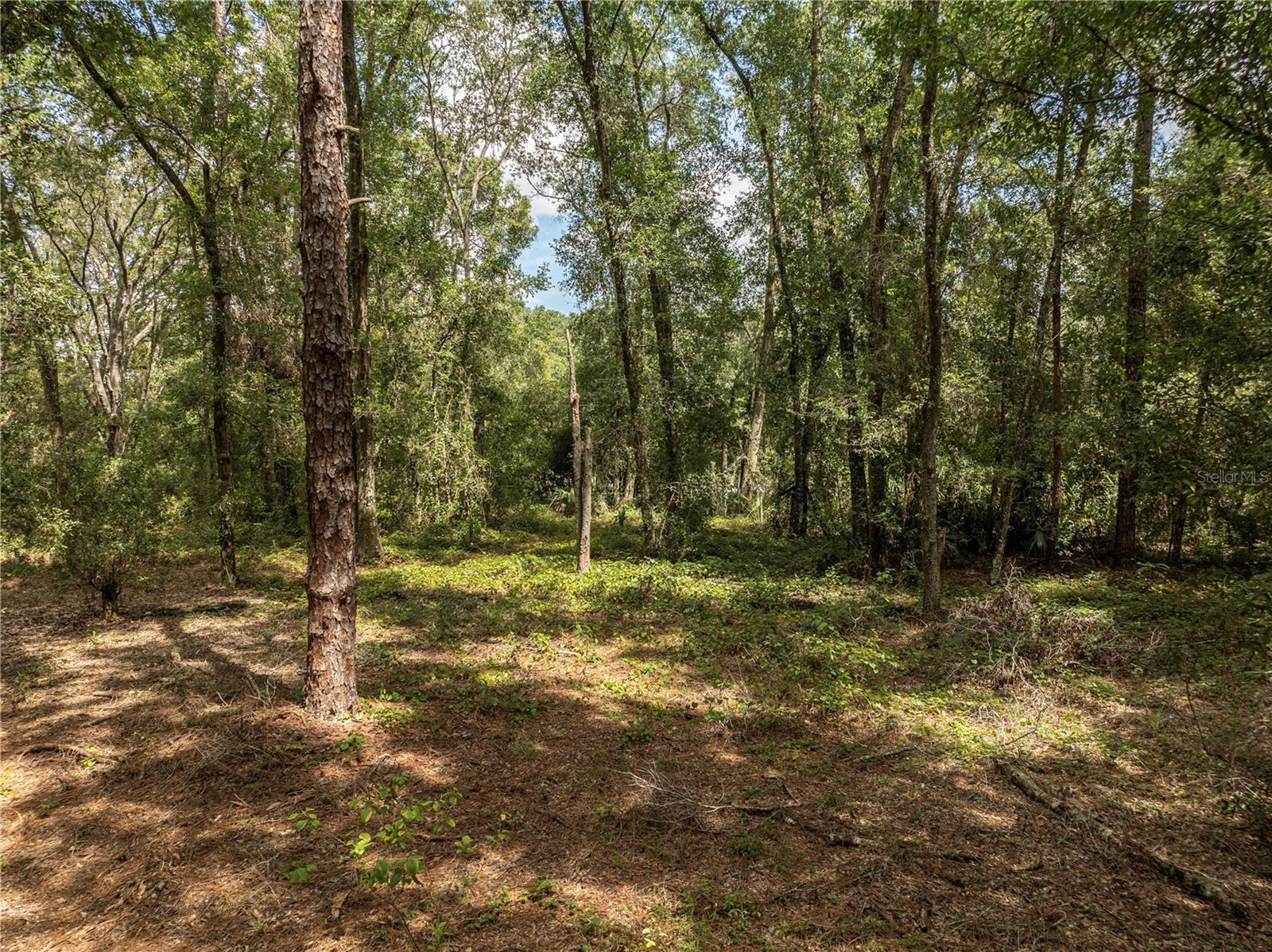 2946 SE 21ST AVE, SUMTERVILLE, FL — photo 13