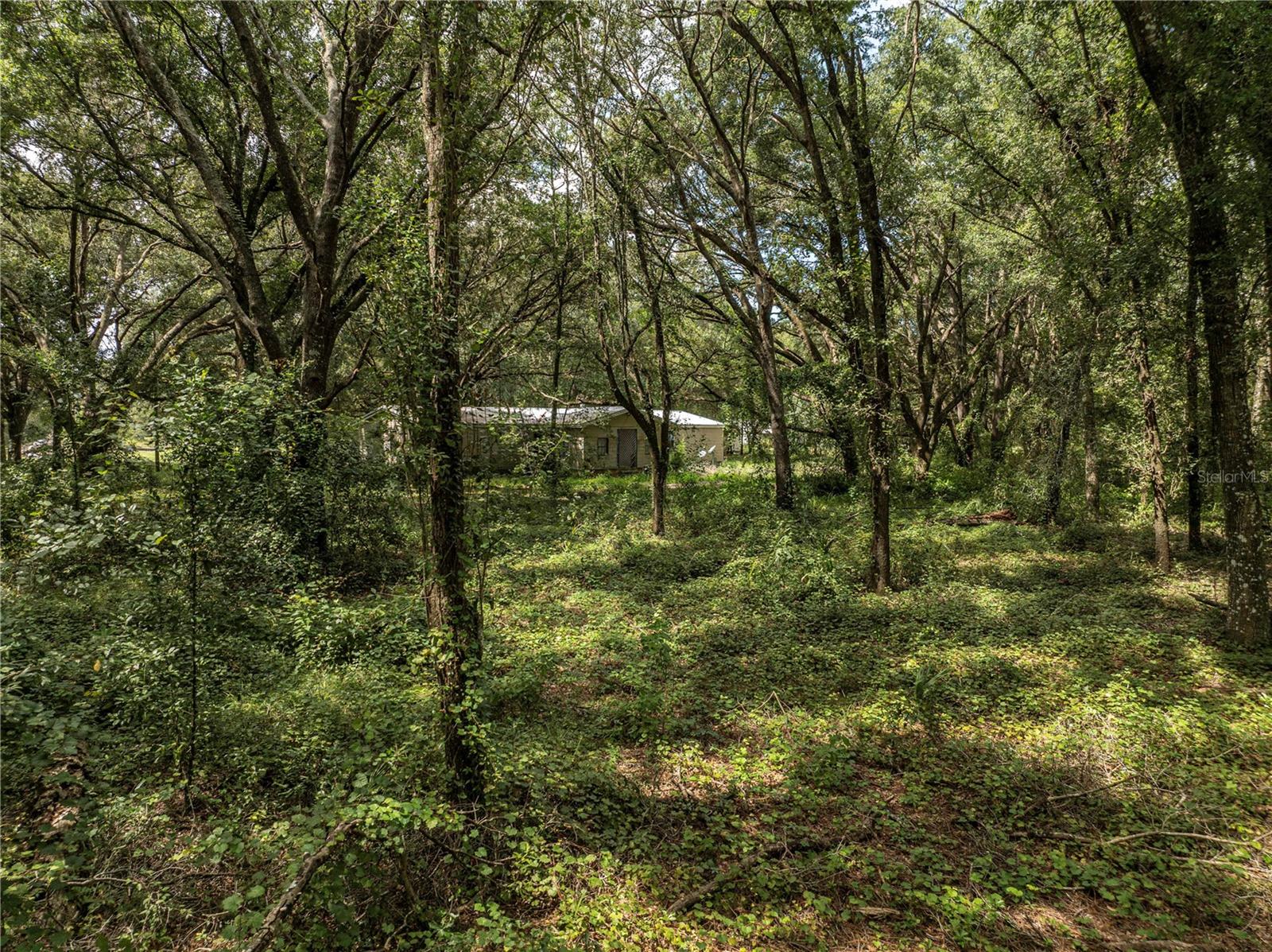 2946 SE 21ST AVE, SUMTERVILLE, FL — photo 14