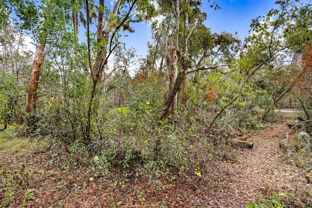4872 RAMBLING RIVER RD, BRANDON, FL — photo 25