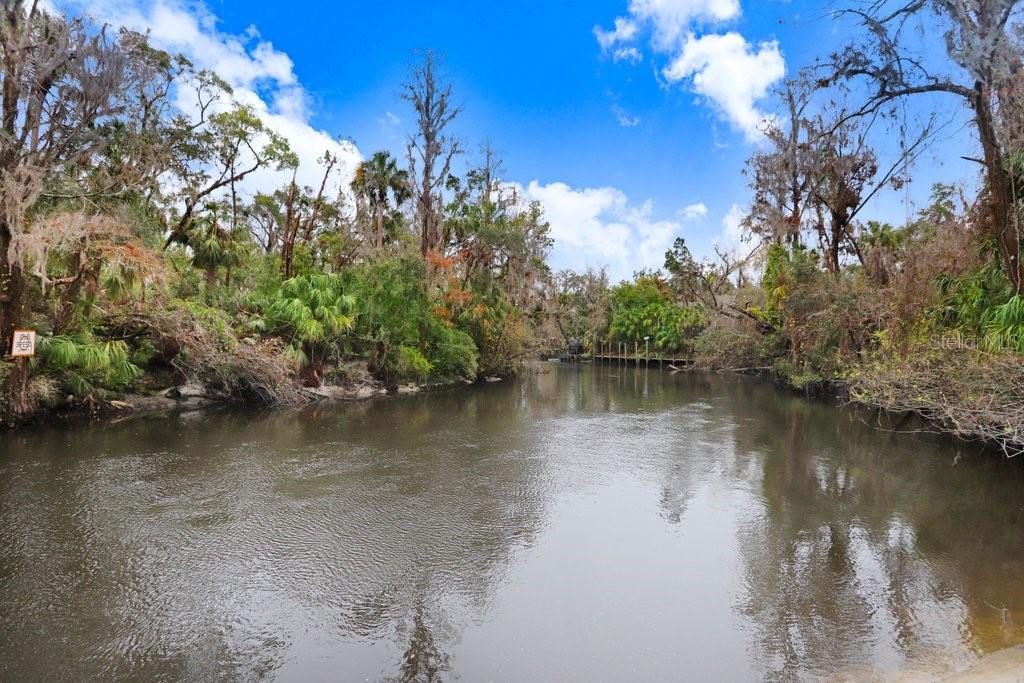 4872 RAMBLING RIVER RD, BRANDON, FL — photo 26