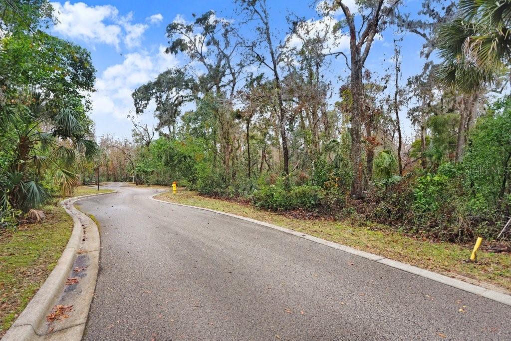 4872 RAMBLING RIVER RD, BRANDON, FL — photo 27