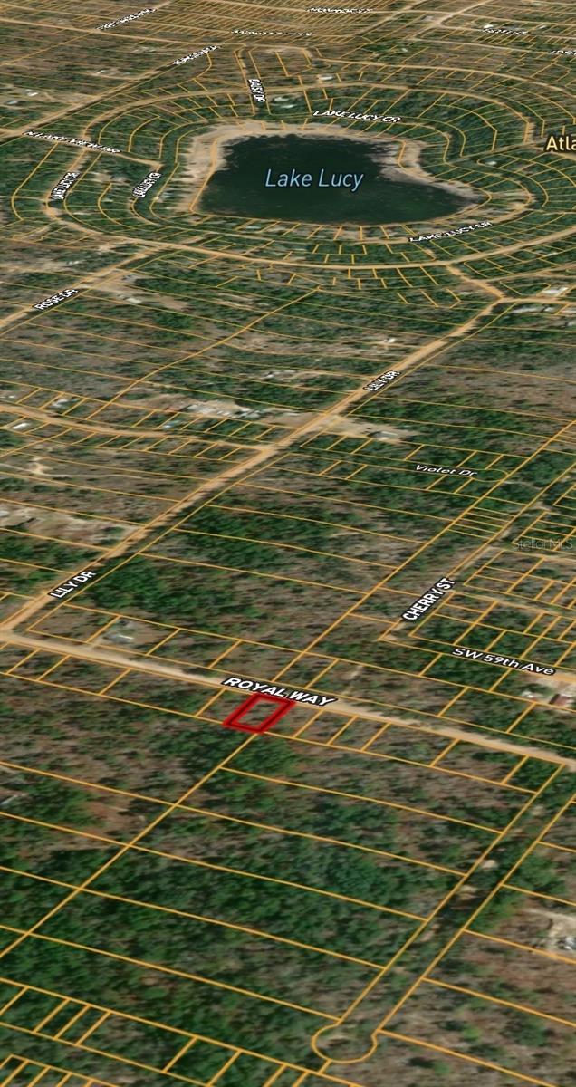 LOT 127 ROYAL WAY, HAWTHORNE, FL — photo 3