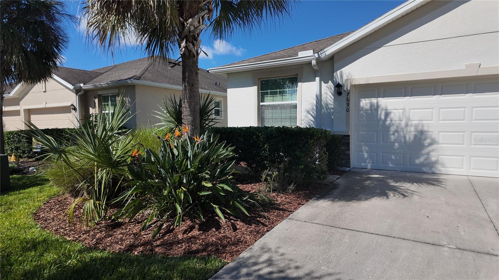 7690 TIMBERVIEW LOOP, WESLEY CHAPEL, FL — photo 4