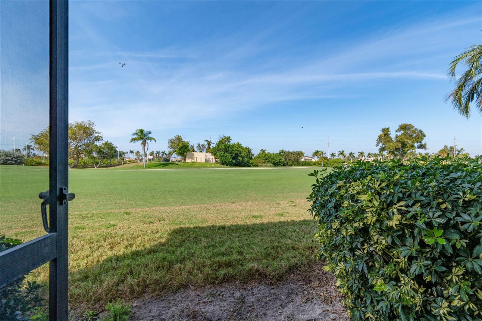 6105 PALMA DEL MAR BLVD S #120, ST PETERSBURG, FL — photo 33