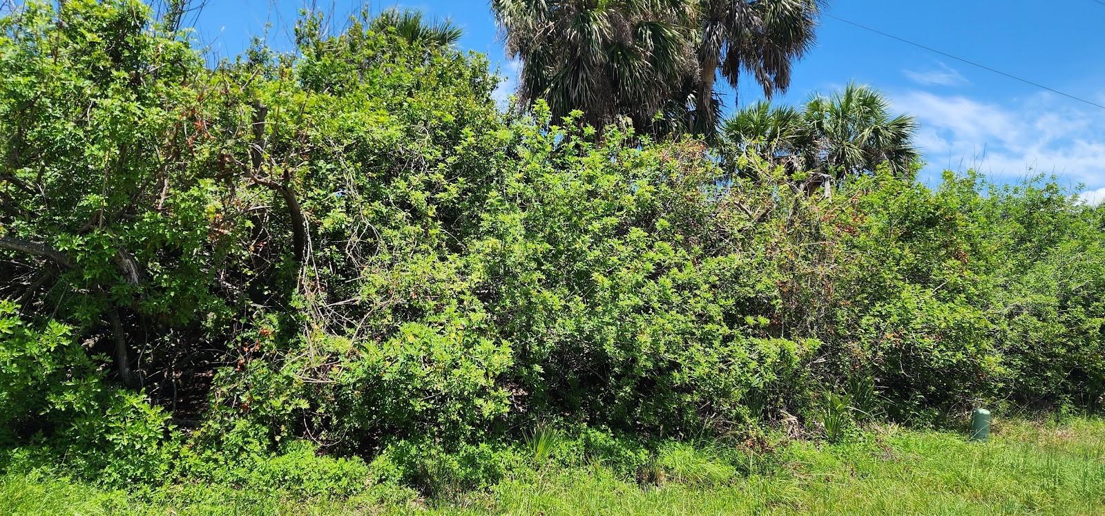 104 BEBB CT, ROTONDA WEST, FL — photo 3