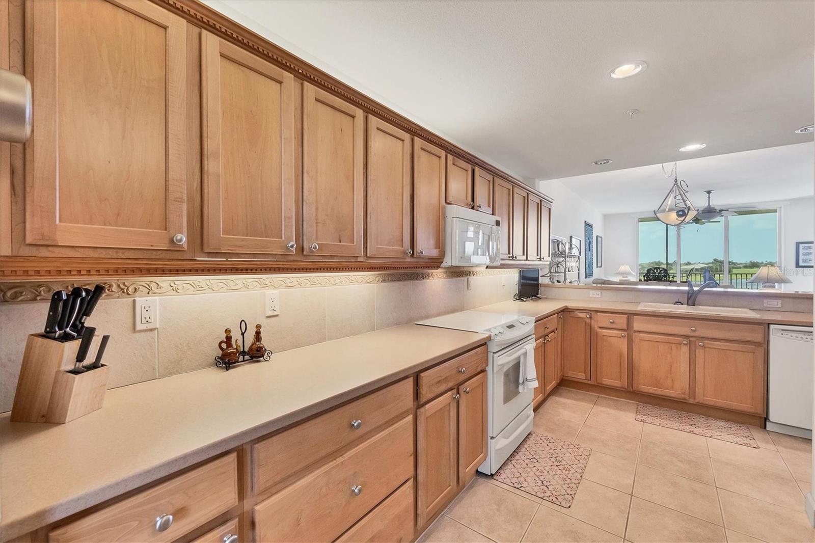 10045 LINKS LN #304, ROTONDA WEST, FL — photo 19
