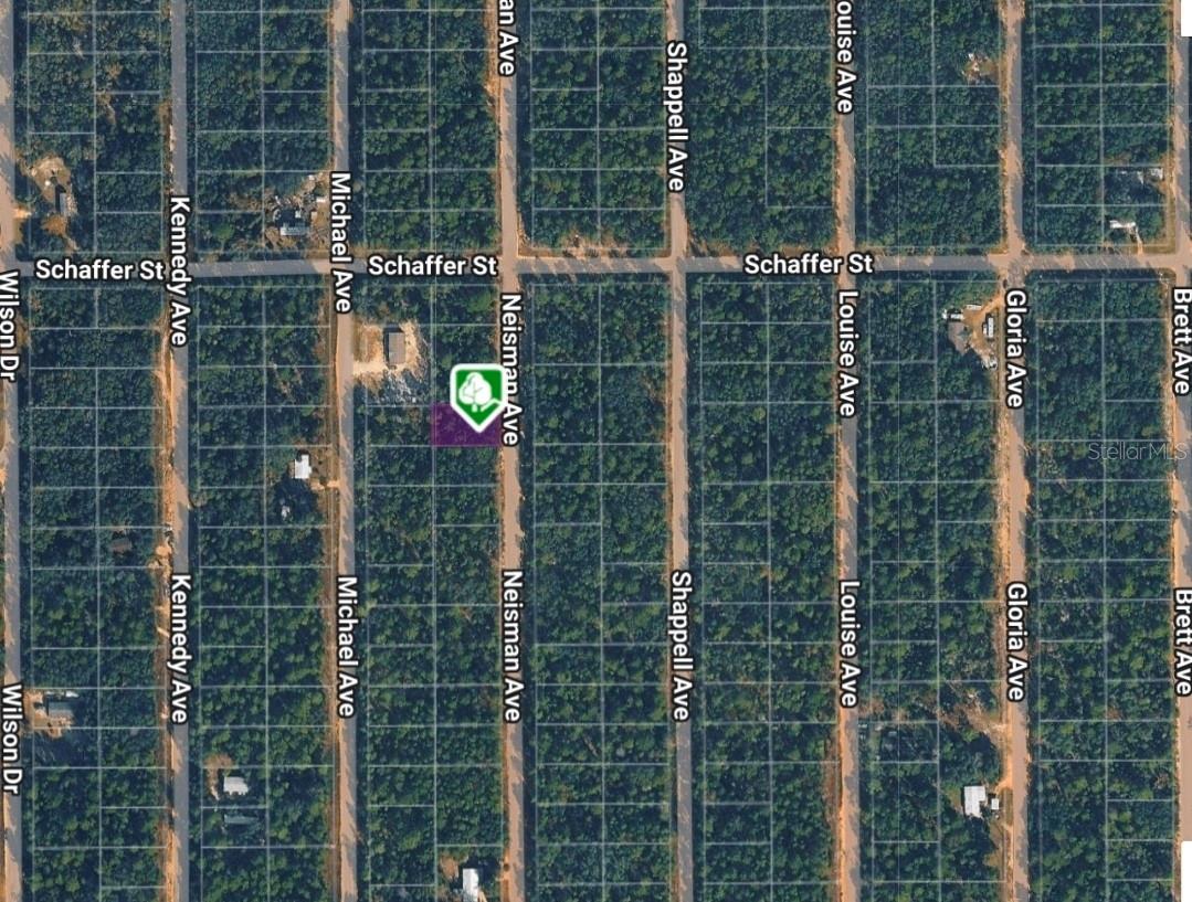 LOT 33 NEISMAN AVE, INTERLACHEN, FL — photo 2