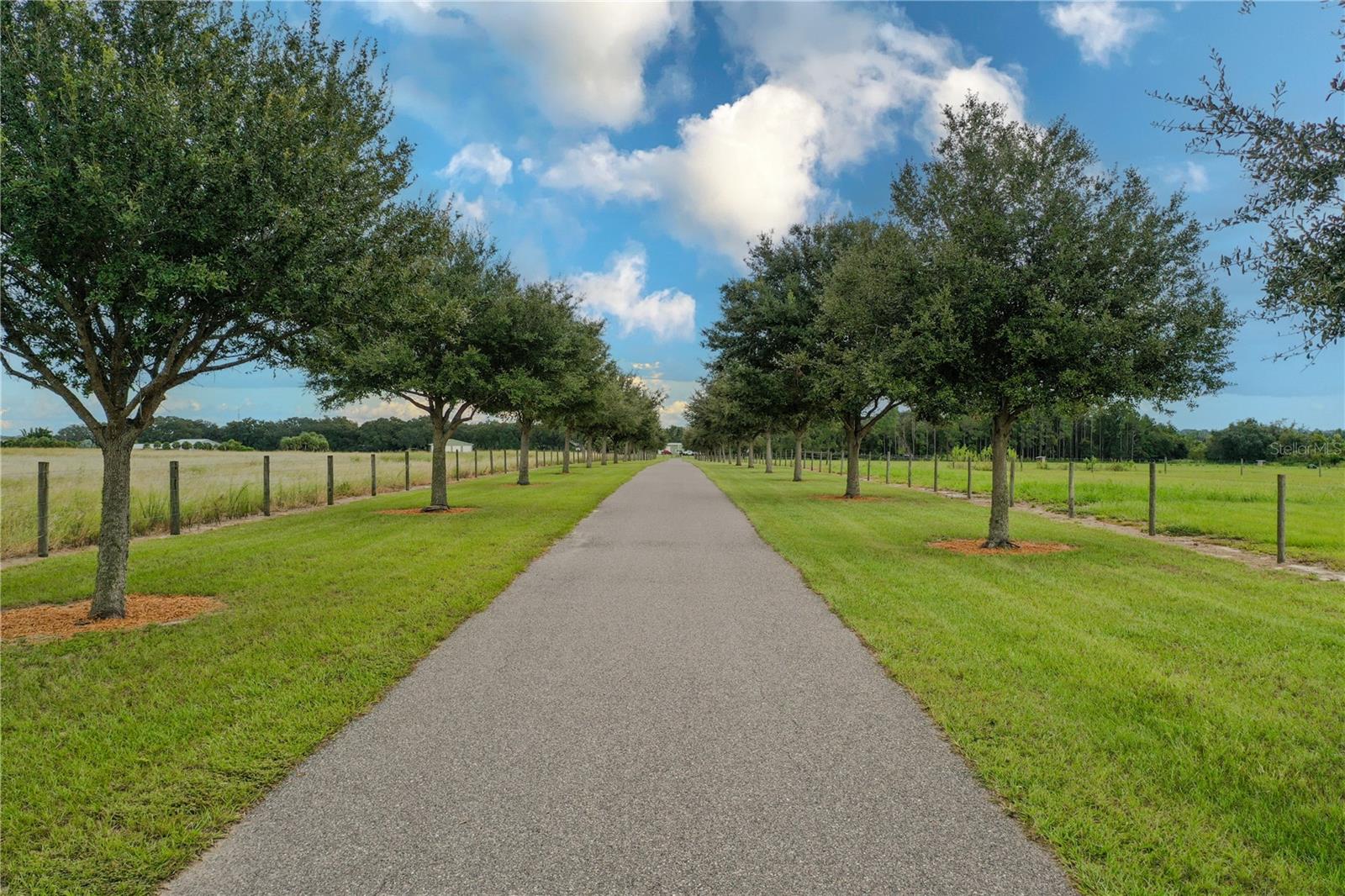 8006 LAKE LOWERY RD, HAINES CITY, FL — photo 56