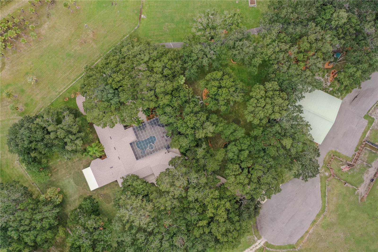 8006 LAKE LOWERY RD, HAINES CITY, FL — photo 61