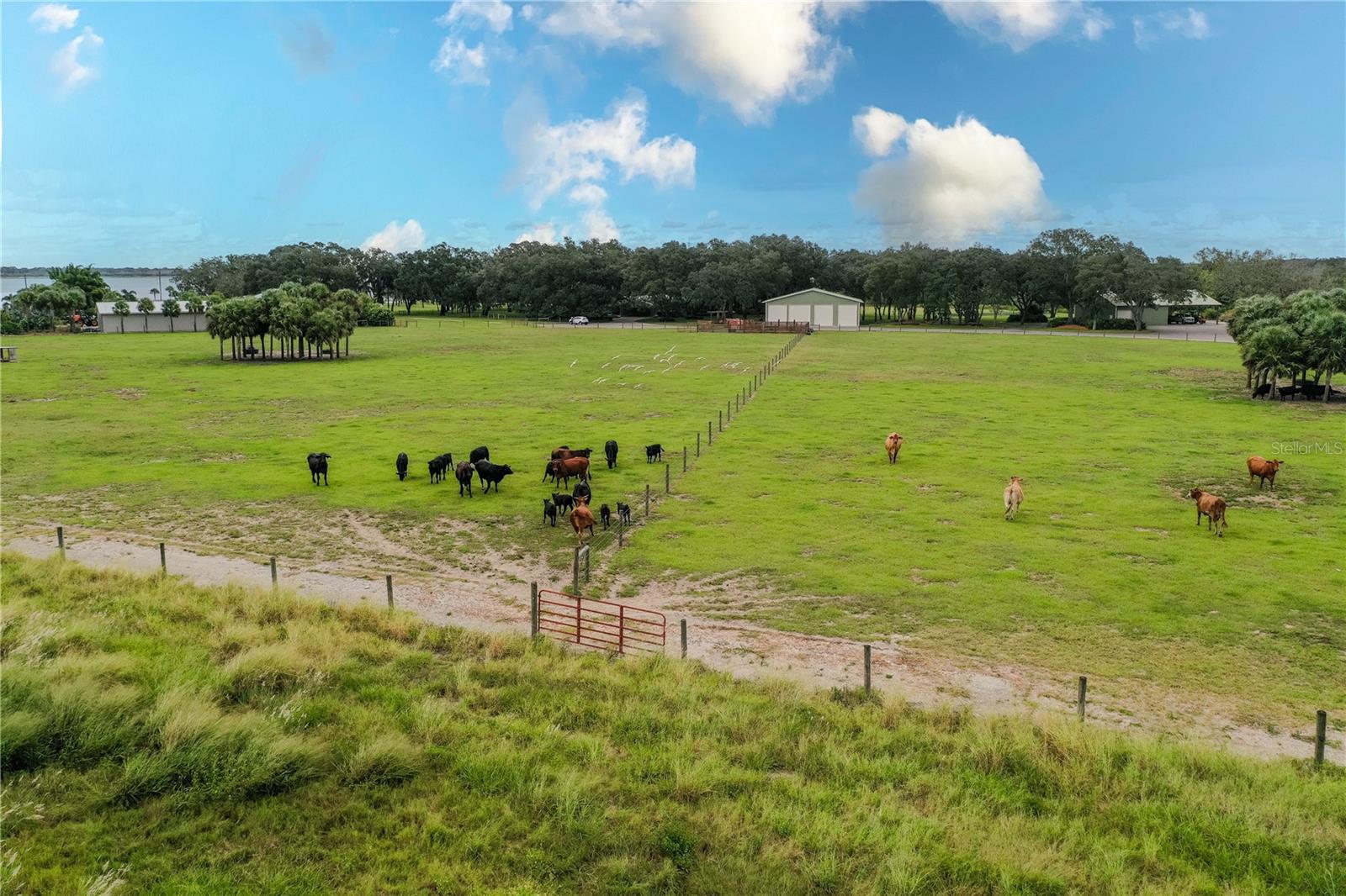 8006 LAKE LOWERY RD, HAINES CITY, FL — photo 64