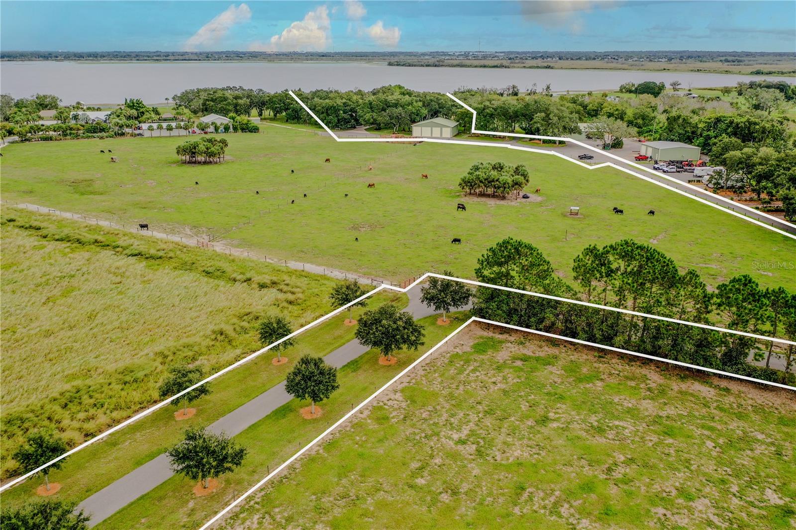 8006 LAKE LOWERY RD, HAINES CITY, FL — photo 3
