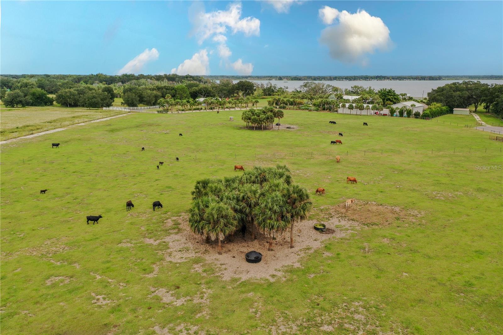 8010 LAKE LOWERY RD, HAINES CITY, FL — photo 9