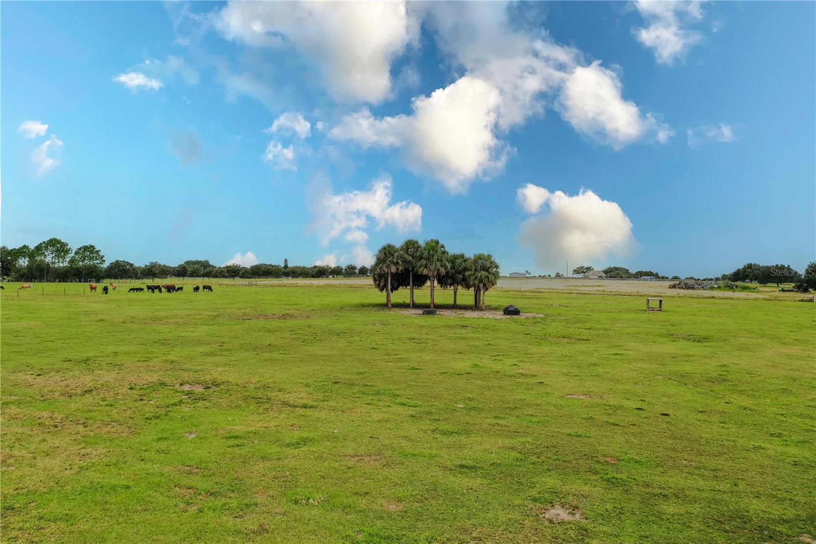 8010 LAKE LOWERY RD, HAINES CITY, FL — photo 16