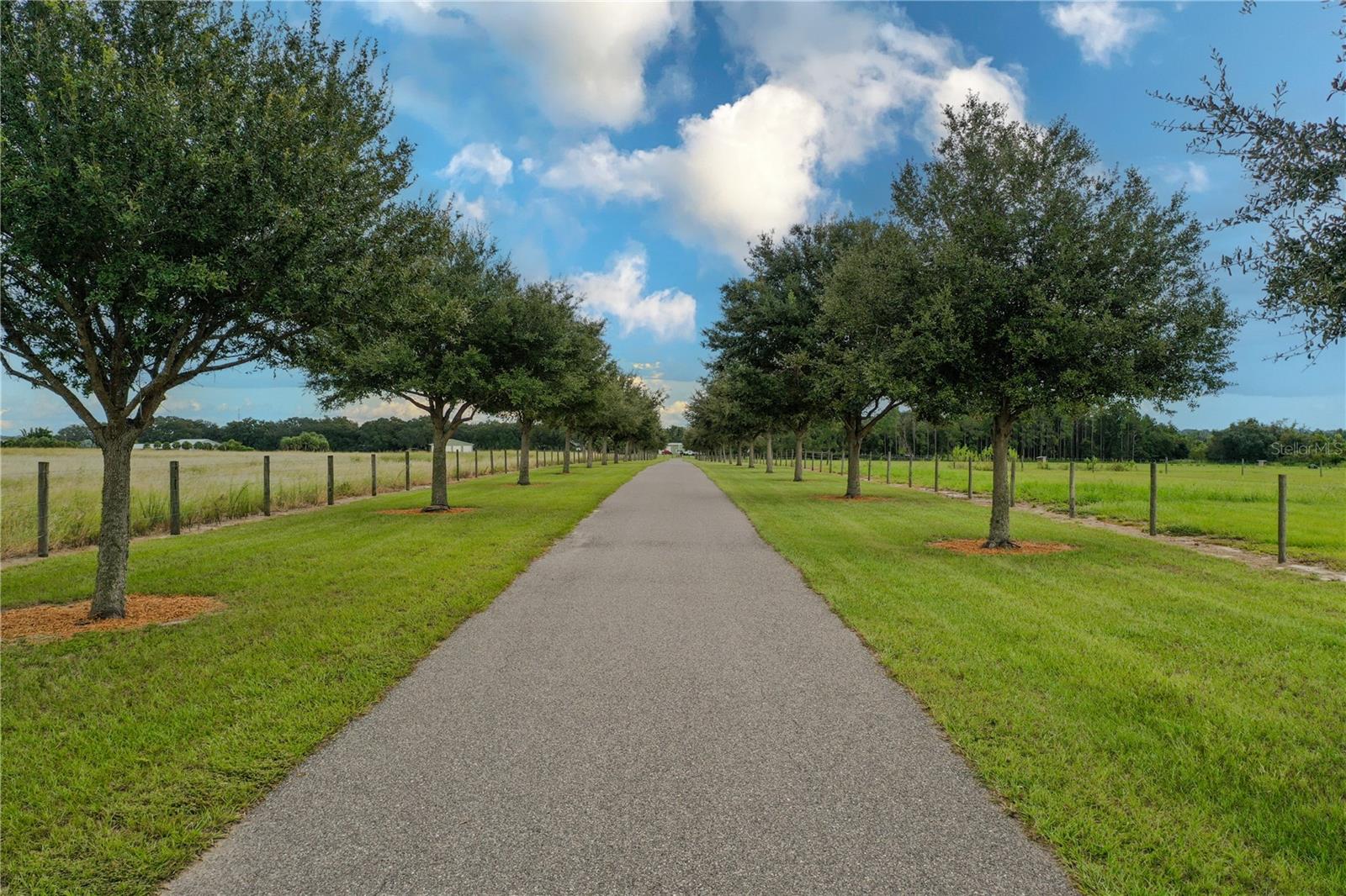 8010 LAKE LOWERY RD, HAINES CITY, FL — photo 20