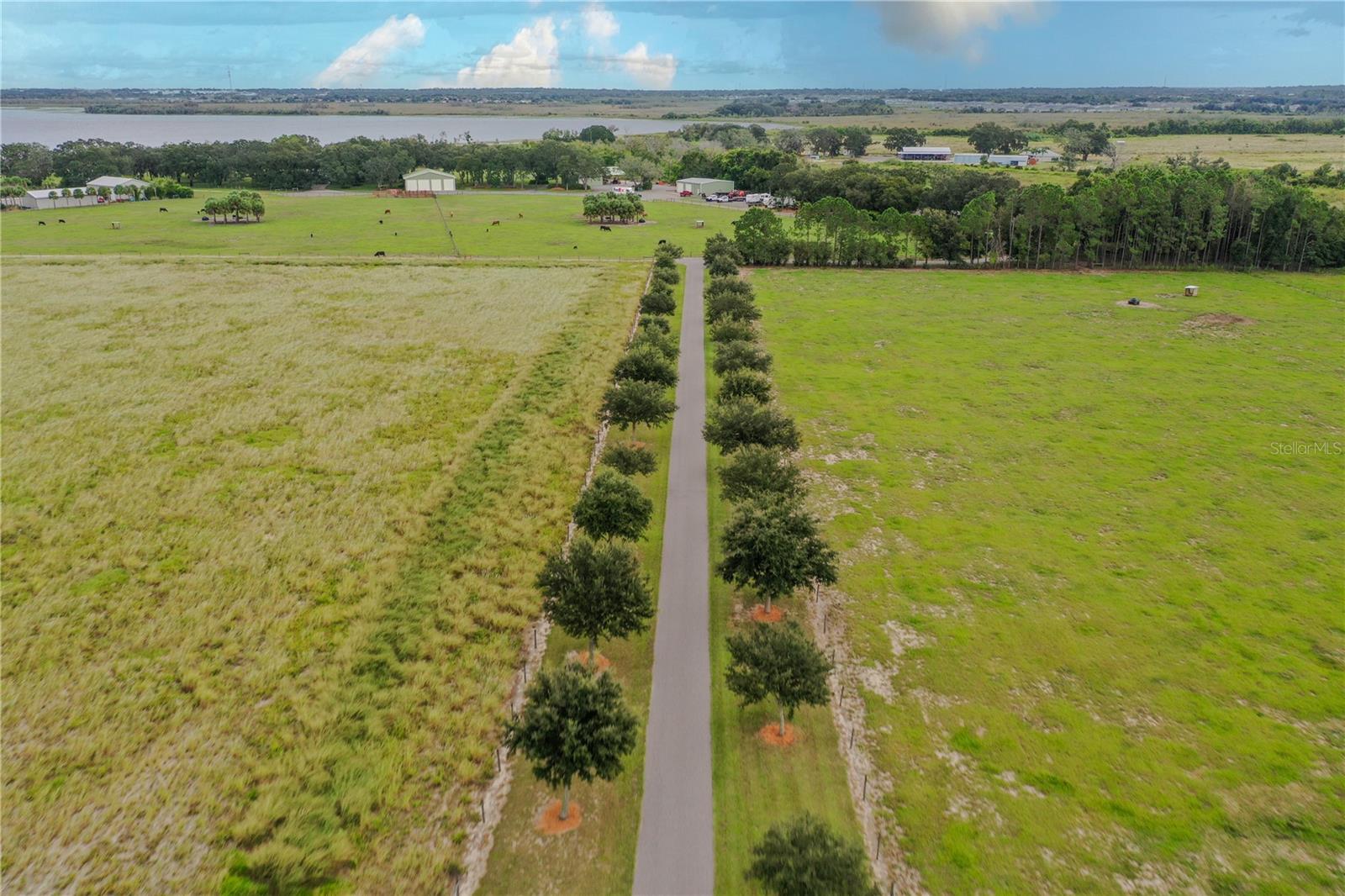 8010 LAKE LOWERY RD, HAINES CITY, FL — photo 31