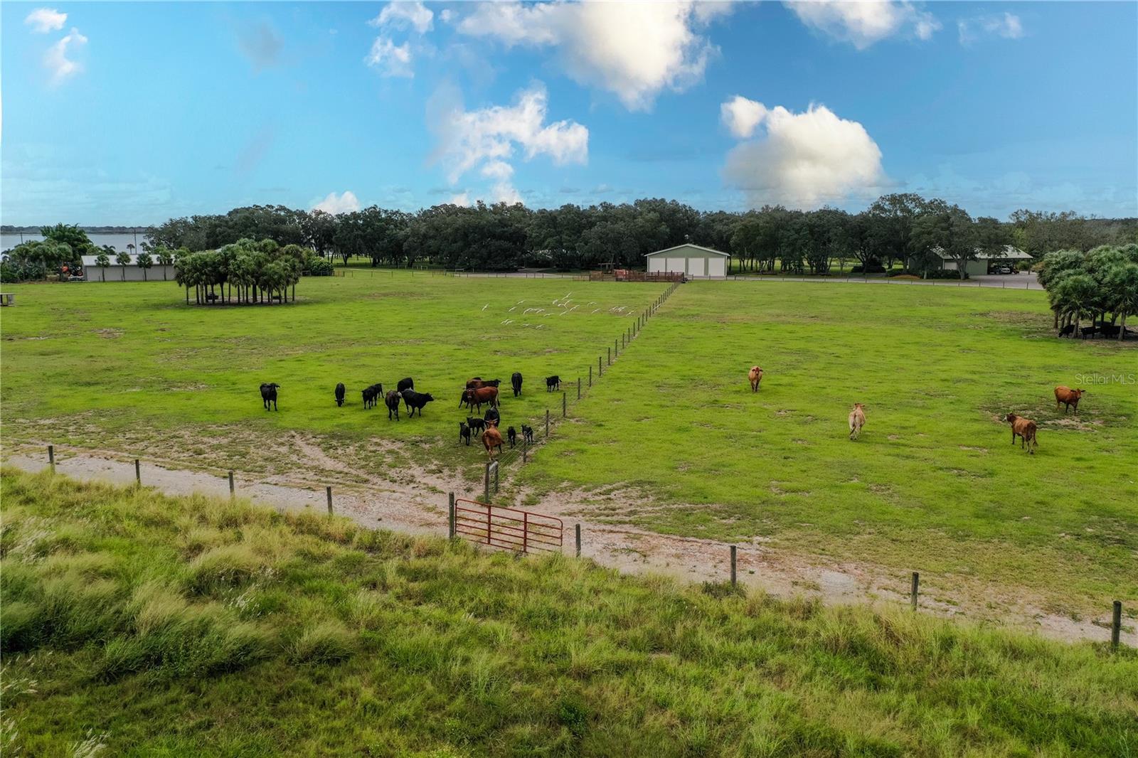 8010 LAKE LOWERY RD, HAINES CITY, FL — photo 35