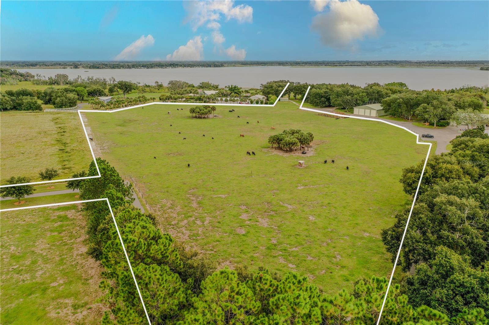 8010 LAKE LOWERY RD, HAINES CITY, FL — photo 4