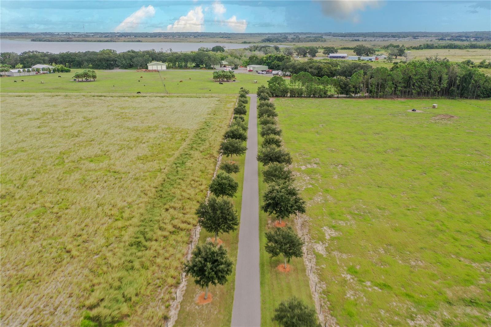 8010 LAKE LOWERY RD, HAINES CITY, FL — photo 72