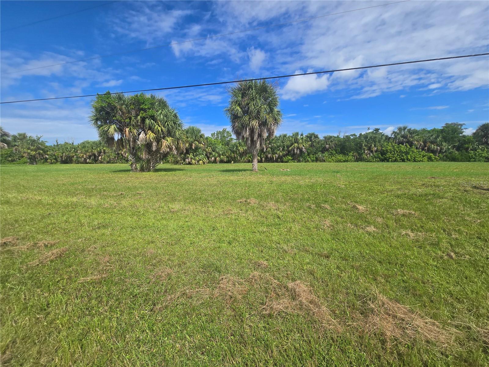 16947 ACAPULCO RD, PUNTA GORDA, FL — photo 7