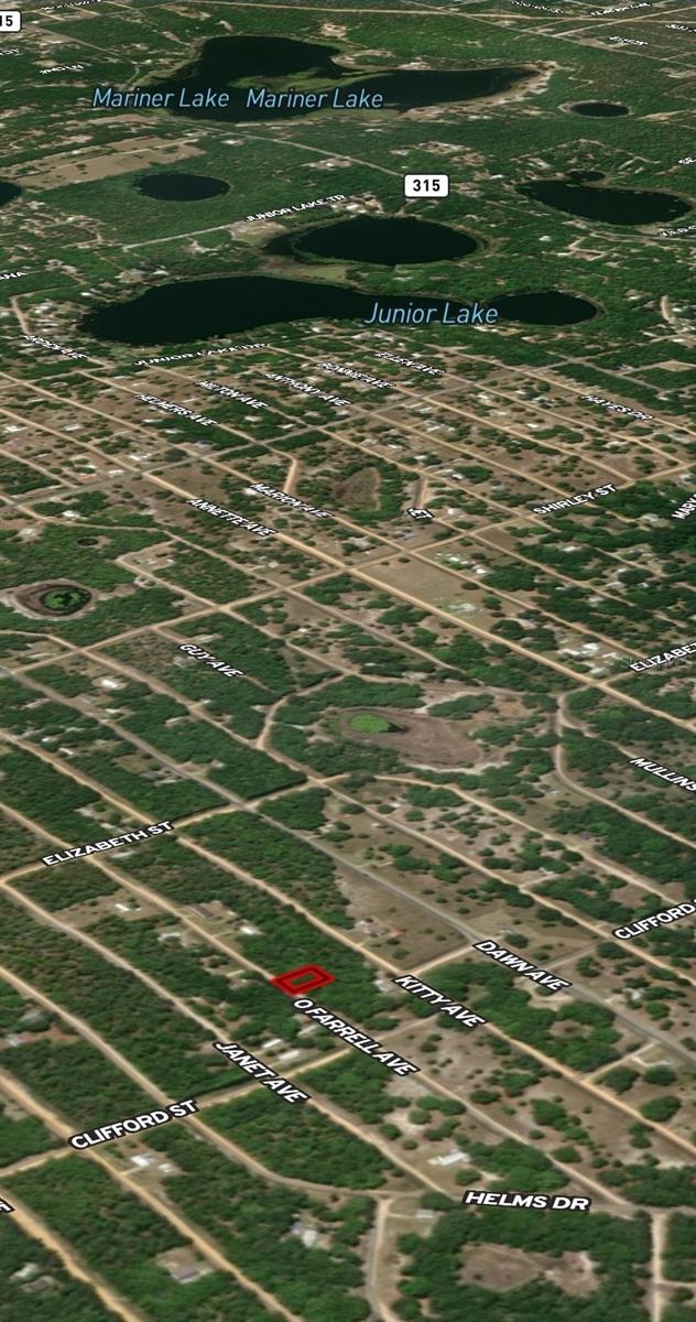 LOT 32 OFFARREL DR, INTERLACHEN, FL — photo 4